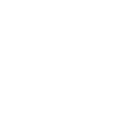 Mint Records Logo